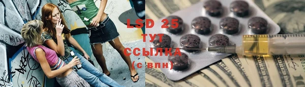 прущие грибы Покачи