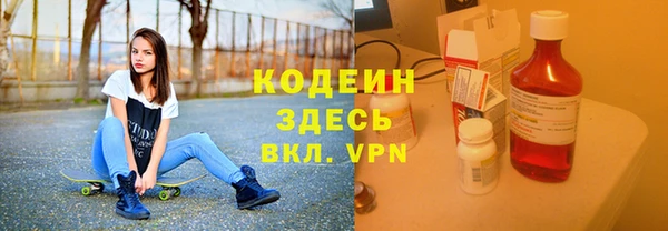 прущие грибы Покачи