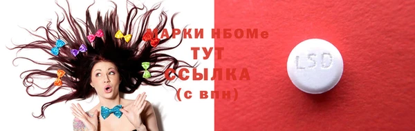 прущие грибы Покачи