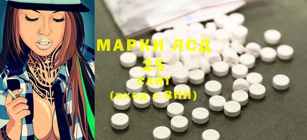 прущие грибы Покачи