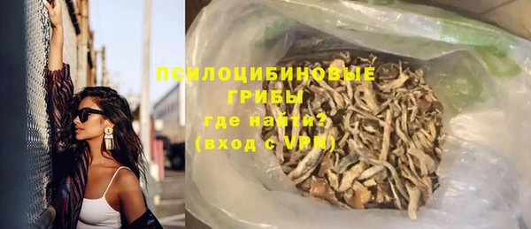 прущие грибы Покачи