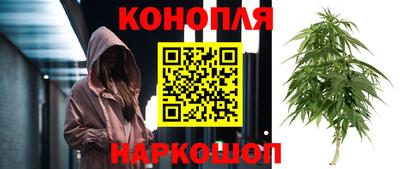 PSILOCYBIN Бийск
