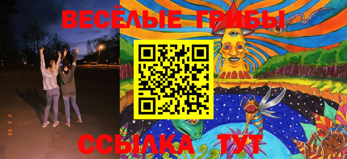 Галлюциногенные грибы MAGIC MUSHROOMS  Вход с VPN  Псилоцибиновые грибы MAGIC MUSHROOMS  Елец 