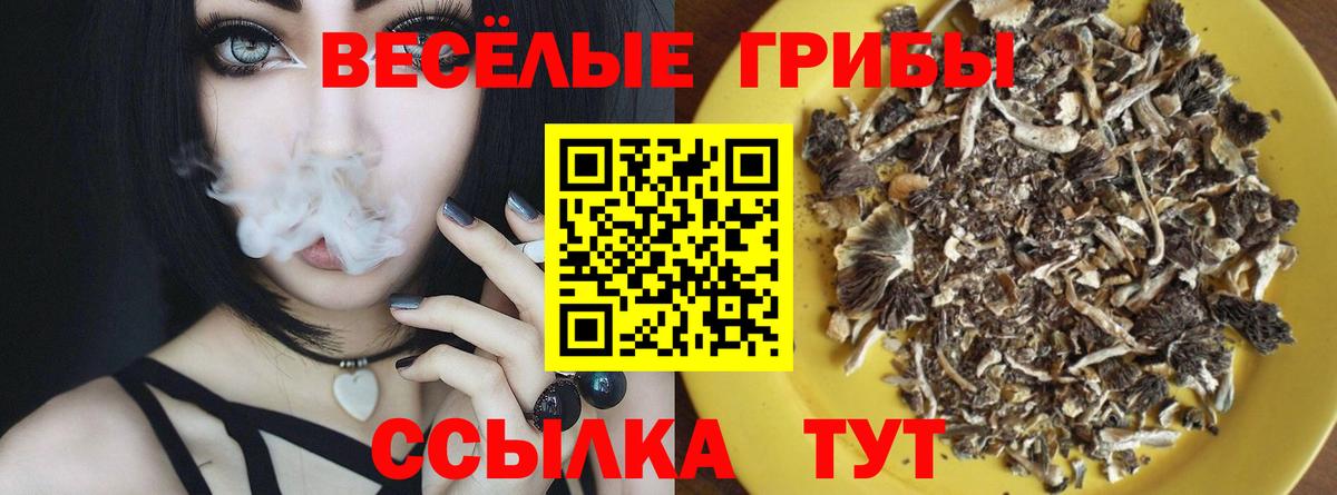 Галлюциногенные грибы MAGIC MUSHROOMS Елец